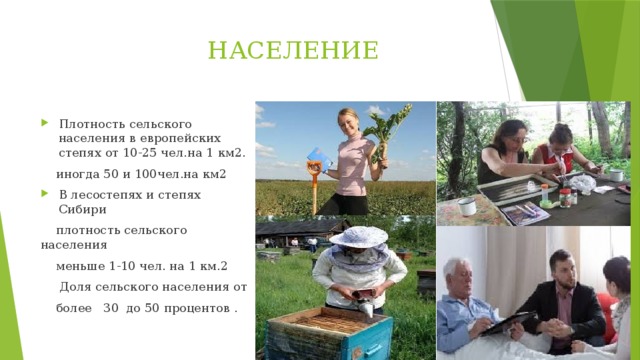  НАСЕЛЕНИЕ Плотность сельского населения в европейских степях от 10-25 чел.на 1 км2.  иногда 50 и 100чел.на км2 В лесостепях и степях Сибири  плотность сельского населения  меньше 1-10 чел. на 1 км.2  Доля сельского населения от  более 30 до 50 процентов . 