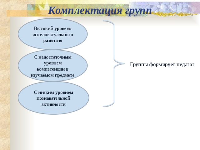 Комплектация групп Высокий уровень интеллектуального развития С недостаточным уровнем компетенции в изучаемом предмете Группы формирует педагог С низким уровнем познавательной активности 