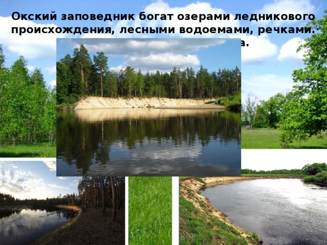 Окский заповедник богат озерами ледникового происхождения, лесными водоемами, речками. Самая большая река – Пра. 