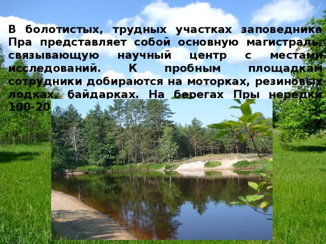В болотистых, трудных участках заповедника Пра представляет собой основную магистраль, связывающую научный центр с местами исследований. К пробным площадкам сотрудники добираются на моторках, резиновых лодках, байдарках. На берегах Пры нередки 100-200-летние великаны сосны. 