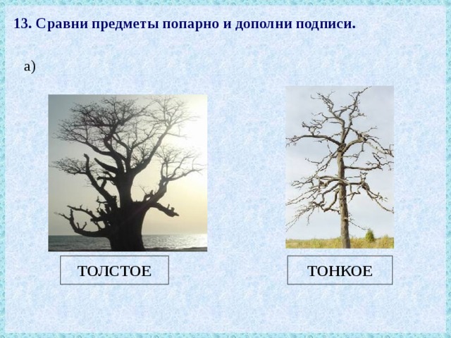 13. Сравни предметы попарно и дополни подписи. а) ТОНКОЕ ТОЛСТОЕ 