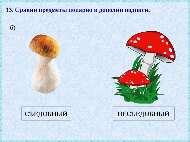 13. Сравни предметы попарно и дополни подписи. б) СЪЕДОБНЫЙ НЕСЪЕДОБНЫЙ 