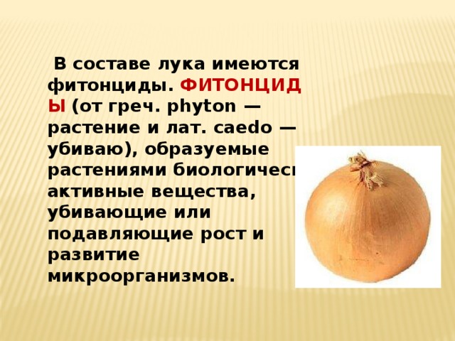   В составе лука имеются фитонциды.  ФИТОНЦИДЫ (от греч. phyton — растение и лат. caedo — убиваю), образуемые растениями биологически активные вещества, убивающие или подавляющие рост и развитие микроорганизмов. 