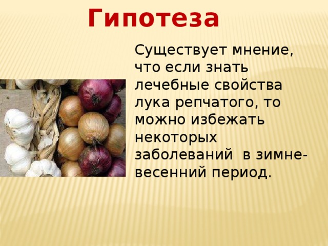 Гипотеза Существует мнение, что если знать лечебные свойства лука репчатого, то можно избежать некоторых заболеваний  в зимне-весенний период. 