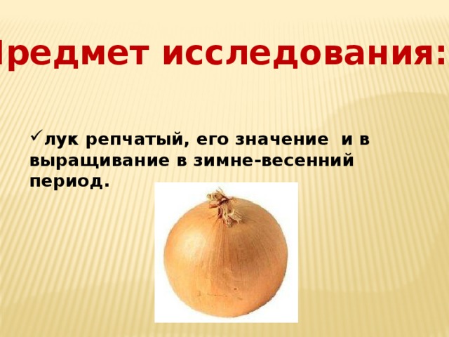 Предмет исследования:   лук репчатый, его значение  и в выращивание в зимне-весенний период. 