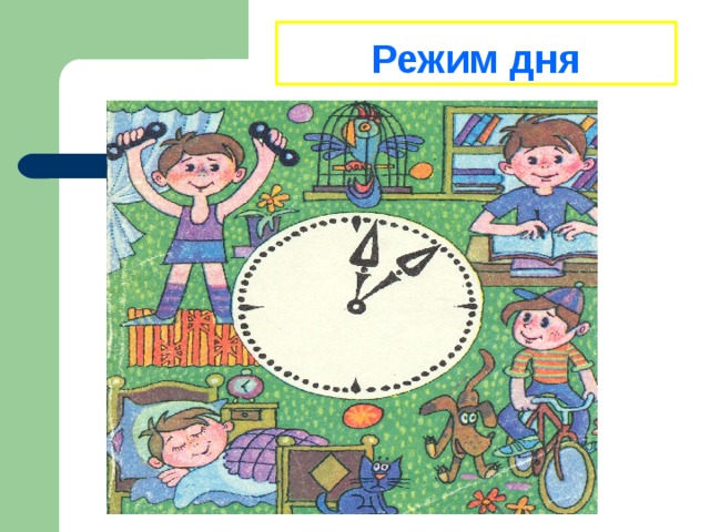 Режим дня 