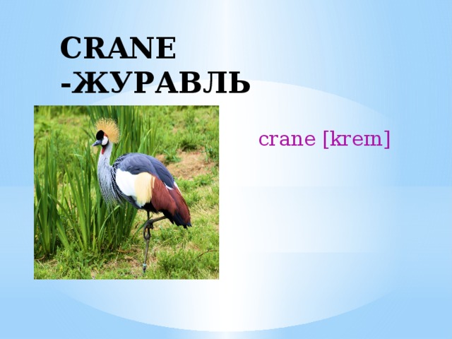 CRANE -ЖУРАВЛЬ crane [kreɪn] 