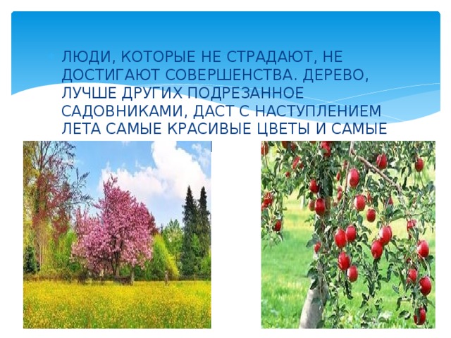 ЛЮДИ, КОТОРЫЕ НЕ СТРАДАЮТ, НЕ ДОСТИГАЮТ СОВЕРШЕНСТВА. ДЕРЕВО, ЛУЧШЕ ДРУГИХ ПОДРЕЗАННОЕ САДОВНИКАМИ, ДАСТ С НАСТУПЛЕНИЕМ ЛЕТА САМЫЕ КРАСИВЫЕ ЦВЕТЫ И САМЫЕ ОБИЛЬНЫЕ ПЛОДЫ 