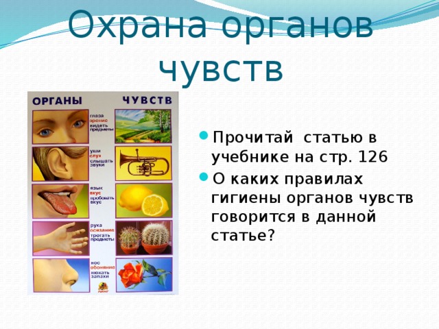 Охрана органов чувств