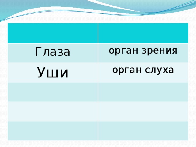 Глаза орган зрения Уши орган слуха