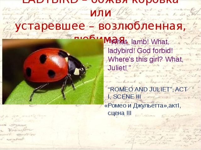 LADYBIRD – божья коровка или устаревшее – возлюбленная, любимая.  “ What, lamb! What, ladybird! God forbid! Where's this girl? What, Juliet! ”  “ ROMEO AND JULIET”, ACT I, SCENE III   «Ромео и Джульетта»,актI, сцена III 