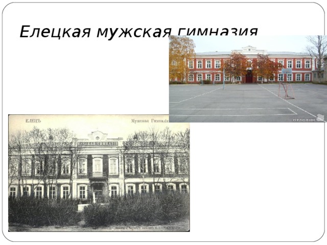 Елецкая мужская гимназия