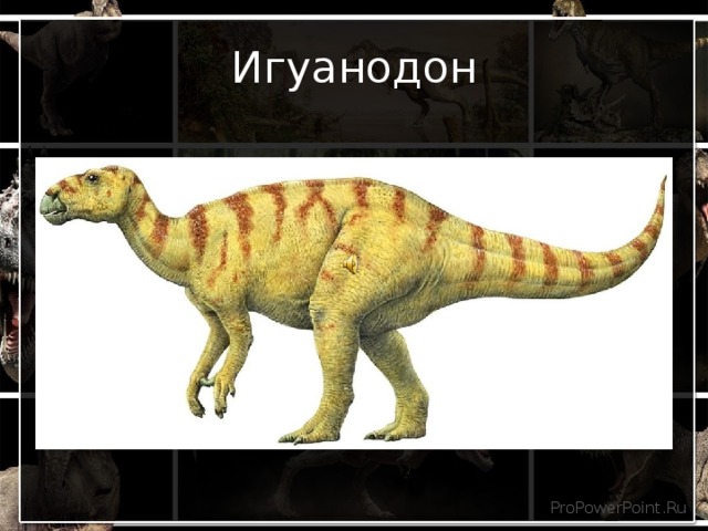Игуанодон  