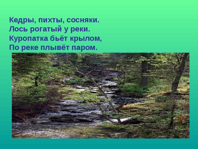 Кедры, пихты, сосняки. Лось рогатый у реки. Куропатка бьёт крылом, По реке плывёт паром. 