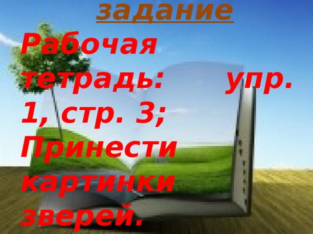 Домашнее задание Рабочая тетрадь: упр. 1, стр. 3; Принести картинки зверей. 