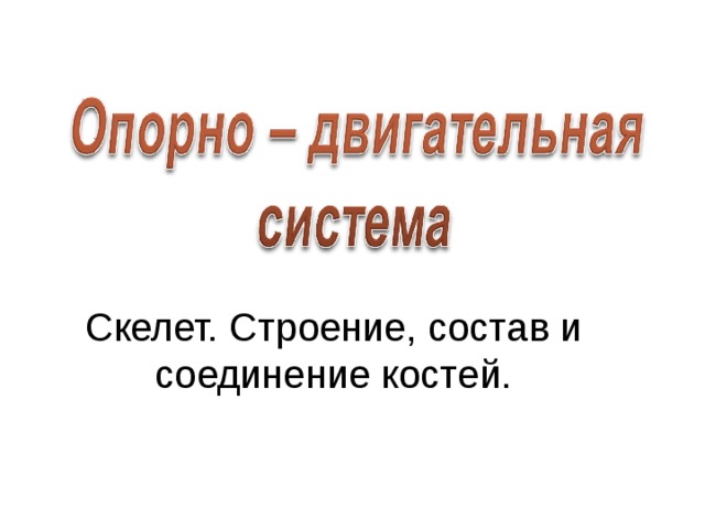 Скелет. Строение, состав и соединение костей. 