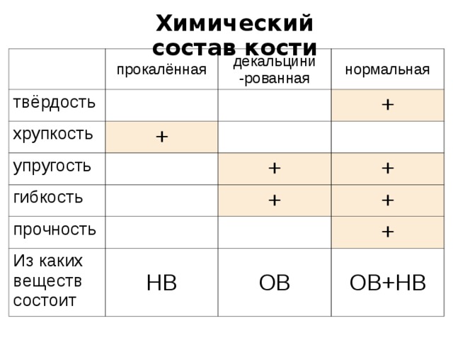 Химический состав кости твёрдость прокалённая декальцини -рованная хрупкость нормальная + упругость + гибкость + прочность + + Из каких веществ состоит + НВ + ОВ ОВ+НВ 