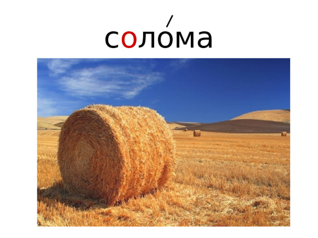 с о лома 