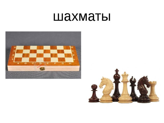 шахматы 