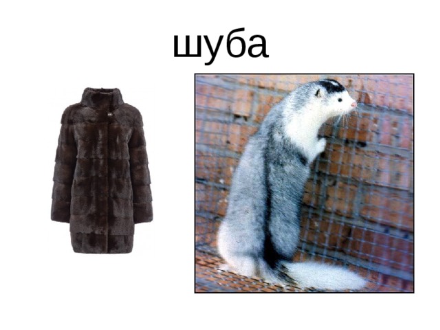 шуба 