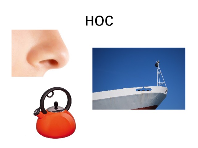 нос 