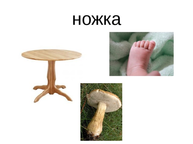 ножка 