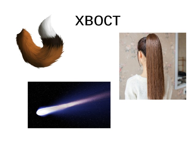 хвост 