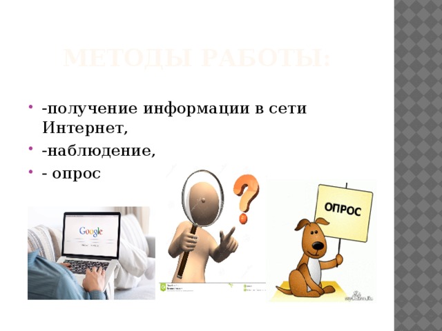 Методы работы: -получение информации в сети Интернет, -наблюдение, - опрос 