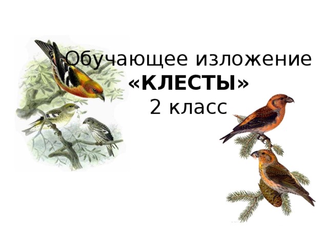Обучающее изложение  «КЛЕСТЫ»  2 класс 
