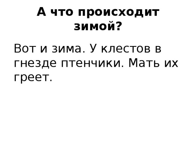 А что происходит зимой? Вот и зима. У клестов в гнезде птенчики. Мать их греет. 