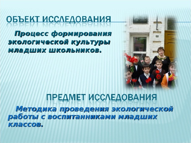 Процесс формирования экологической культуры младших школьников. Методика проведения экологической работы с воспитанниками младших классов. 