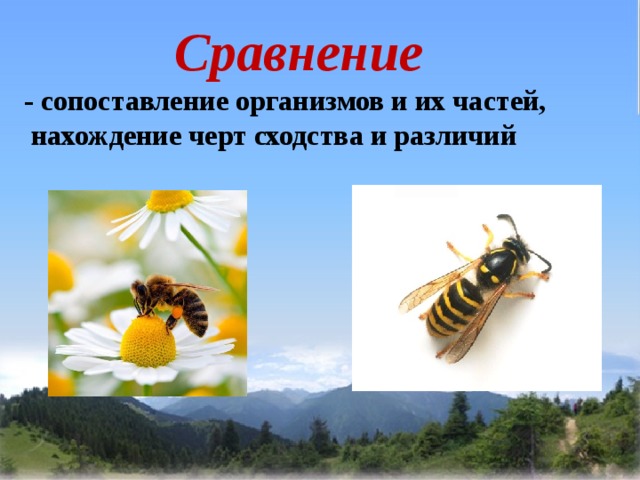 Сравнение - сопоставление организмов и их частей, нахождение черт сходства и различий 