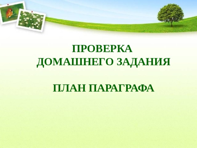 ПРОВЕРКА ДОМАШНЕГО ЗАДАНИЯ  ПЛАН ПАРАГРАФА 