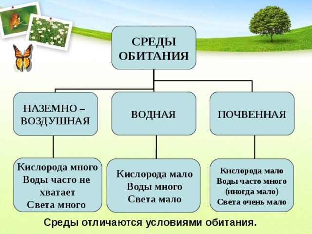 СРЕДЫ ОБИТАНИЯ ВОДНАЯ ПОЧВЕННАЯ НАЗЕМНО – ВОЗДУШНАЯ Кислорода много Воды часто не хватает Света много Кислорода мало Воды много Света мало Кислорода мало Воды часто много (иногда мало) Света очень мало Среды отличаются условиями обитания. 
