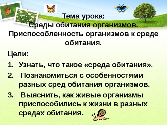 Тема урока:  Среды обитания организмов. Приспособленность организмов к среде обитания. Цели: Узнать, что такое «среда обитания».  Познакомиться с особенностями разных сред обитания организмов.  Выяснить, как живые организмы приспособились к жизни в разных средах обитания.  