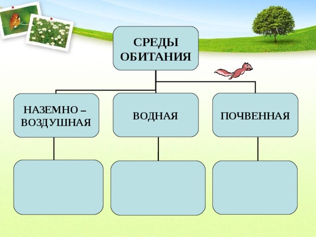 СРЕДЫ ОБИТАНИЯ ВОДНАЯ ПОЧВЕННАЯ НАЗЕМНО – ВОЗДУШНАЯ 