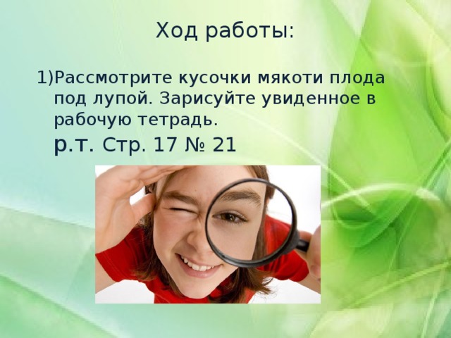 Ход работы:   Рассмотрите кусочки мякоти плода под лупой. Зарисуйте увиденное в рабочую тетрадь.  р.т. Стр. 17 № 21 