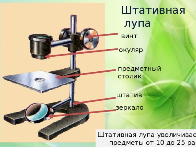 Штативная  лупа винт окуляр предметный столик штатив зеркало Штативная лупа увеличивает предметы от 10 до 25 раз. 