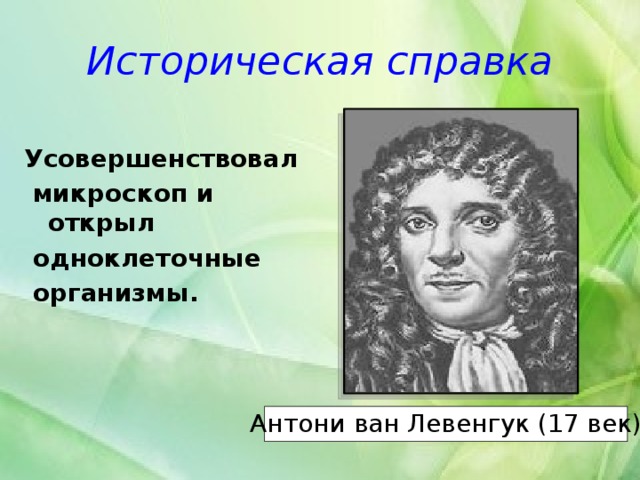 Историческая справка Усовершенствовал  микроскоп и открыл  одноклеточные  организмы.  Антони ван Левенгук (17 век) 