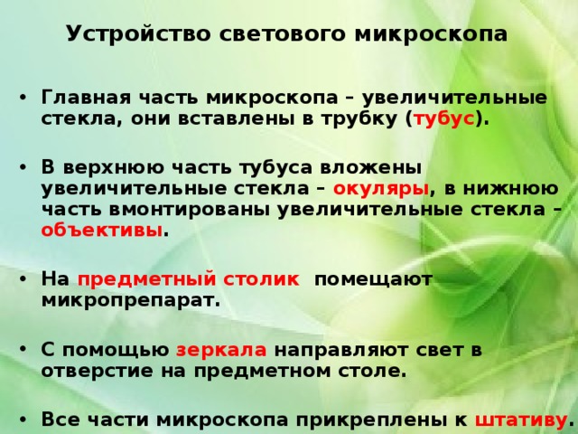 Устройство светового микроскопа Главная часть микроскопа – увеличительные стекла, они вставлены в трубку ( тубус ).  В верхнюю часть тубуса вложены увеличительные стекла – окуляры , в нижнюю часть вмонтированы увеличительные стекла – объективы .  На предметный столик помещают микропрепарат.  С помощью зеркала направляют свет в отверстие на предметном столе.  Все части микроскопа прикреплены к штативу . 