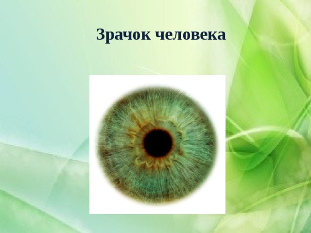 Зрачок человека 