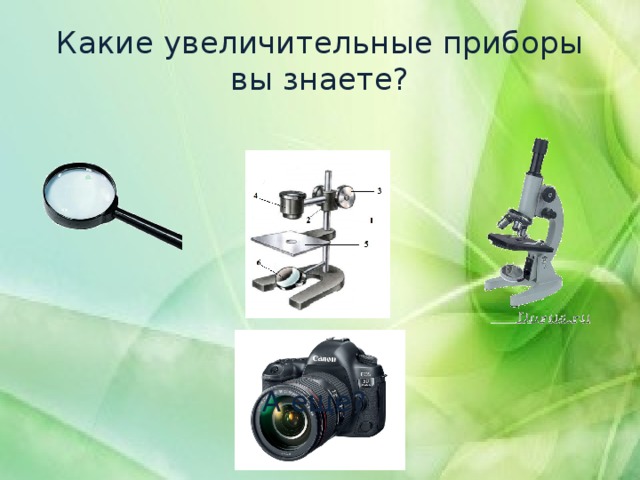 Какие увеличительные приборы вы знаете? А еще? 