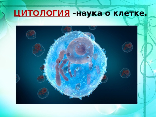 ЦИТОЛОГИЯ -наука о клетке.    