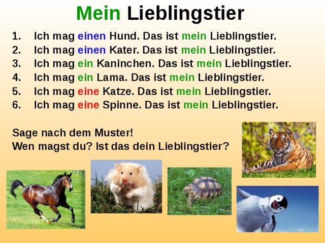 Mein Lieblingstier Ich mag einen Hund. Das ist mein Lieblingstier. Ich mag einen Kater. Das ist mein Lieblingstier. Ich mag ein Kaninchen. Das ist mein Lieblingstier. Ich mag ein Lama. Das ist mein Lieblingstier. Ich mag eine Katze. Das ist mein Lieblingstier. Ich mag eine Spinne. Das ist mein Lieblingstier.  Sage nach dem Muster! Wen magst du? Ist das dein Lieblingstier? 