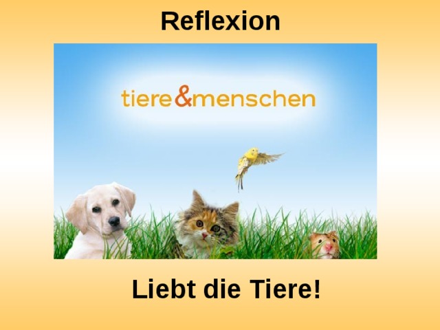 Reflexion Liebt die Tiere! 
