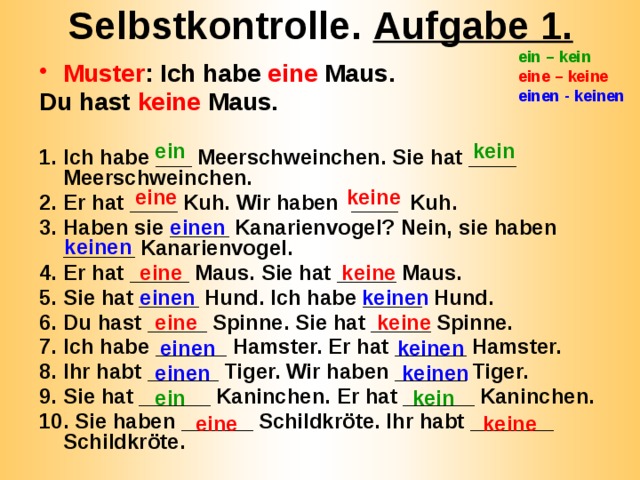 Selbstkontrolle. Aufgabe 1. ein – kein eine – keine einen - keinen Muster : Ich habe eine Maus. Du hast keine Maus.  Ich habe ___ Meerschweinchen. Sie hat ____ Meerschweinchen. Er hat ____ Kuh. Wir haben ____ Kuh. Haben sie _____ Kanarienvogel? Nein, sie haben ______ Kanarienvogel. Er hat _____ Maus. Sie hat _____ Maus. Sie hat _____ Hund. Ich habe _____ Hund. Du hast _____ Spinne. Sie hat _____ Spinne. Ich habe ______ Hamster. Er hat ______ Hamster. Ihr habt ______ Tiger. Wir haben ______ Tiger. Sie hat ______ Kaninchen. Er hat ______ Kaninchen.  Sie haben ______ Schildkröte. Ihr habt _______ Schildkröte.  ein kein eine keine einen keinen eine keine einen keinen eine keine einen keinen einen keinen kein ein eine keine 