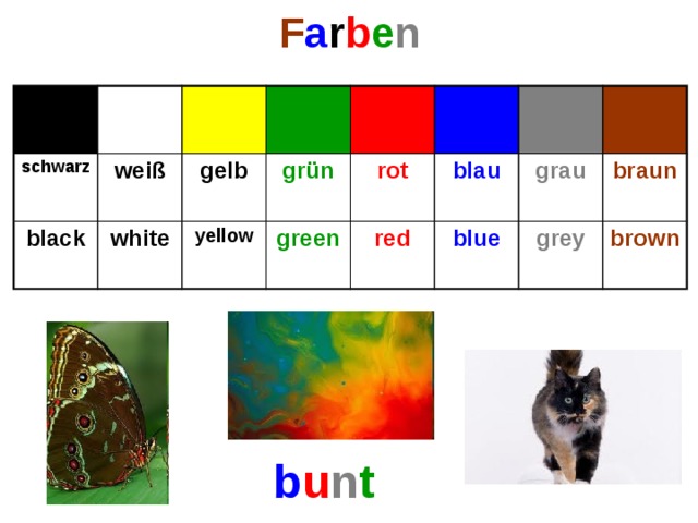 F a r b e n schwarz weiß black gelb white grün yellow rot green blau red grau blue braun grey brown b u n t 