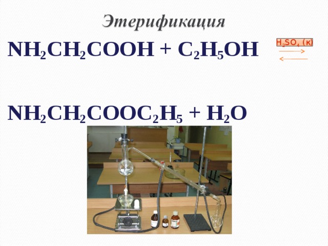      NH 2 CH 2 COOH + C 2 H 5 OH    NH 2 CH 2 COOC 2 H 5 + H 2 O  H 2 SO 4 ( к) 