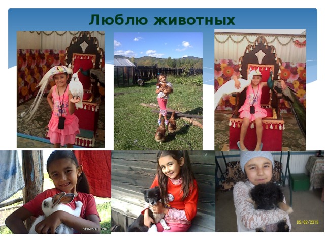 Люблю животных 