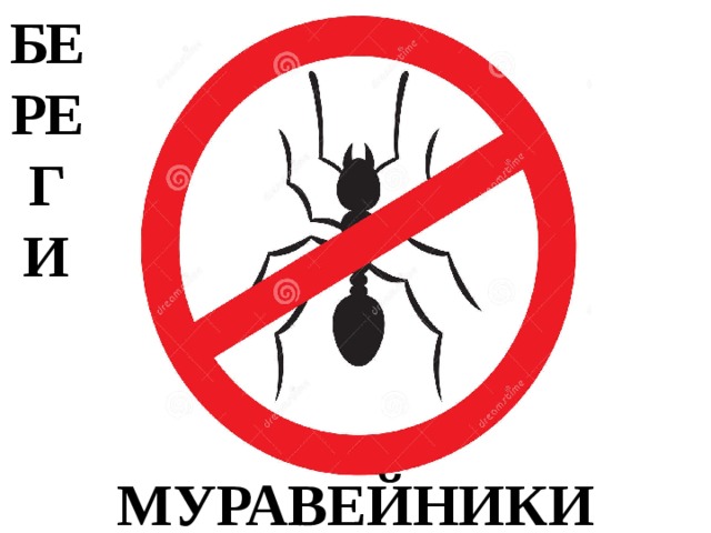 БЕРЕГИ МУРАВЕЙНИКИ 